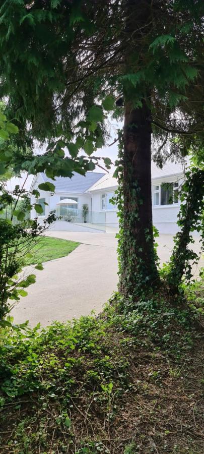 Annie'S House With Thermal Health Spa Moville Exterior foto